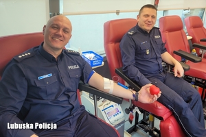 policjanci oddają krew