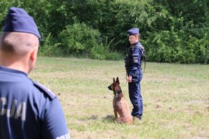 Policjant z psem służbowym w trakcie zmagań konkursowych.