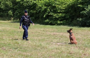 Policjant z psem służbowym w trakcie zmagań konkursowych.
