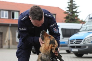 Umundurowany policjant pochyla się i rozmawia ze swoim psem służbowym.