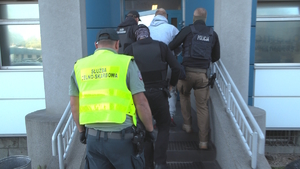 Policjanci i funkcjonariusze służby celno-skarbowej w kamizelkach prowadzą zatrzymanego mężczyznę w kajdankach do budynku komendy Policji