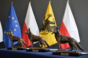 Figurki mosiężne psów , które są nagrodami w konkursie stojące na tle flagi Polski i UE