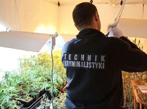 Stopklatka z filmu