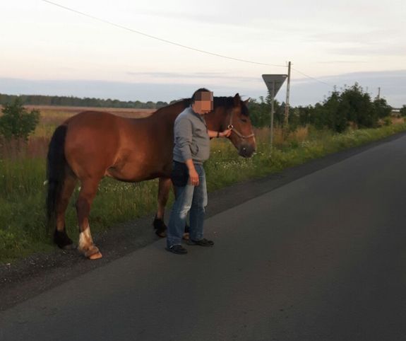 Stopklatka z filmu