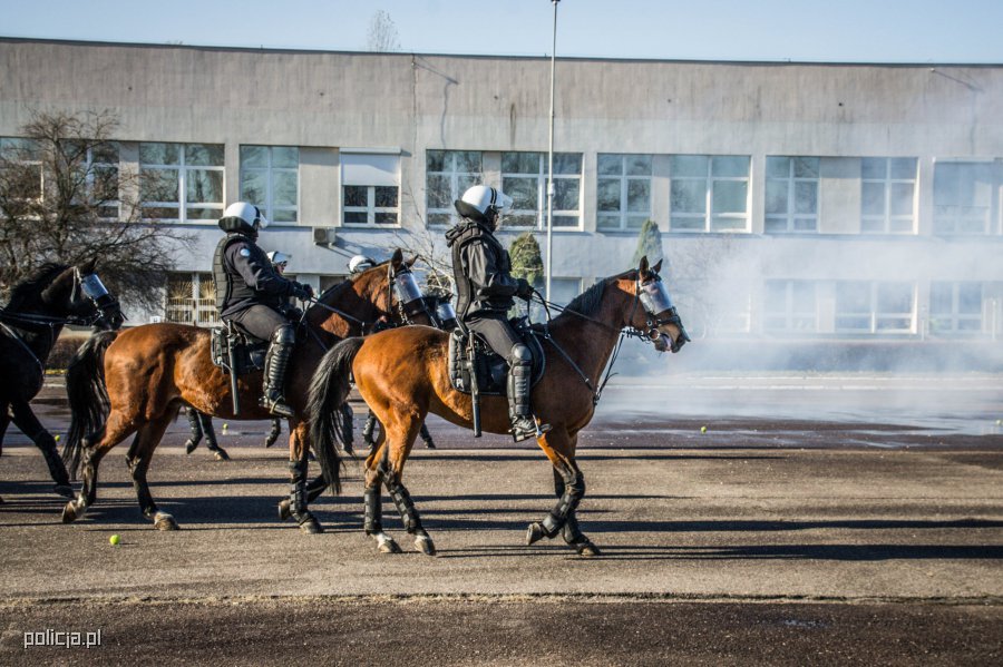 atestacja-koni-policyjnych-policja-pl-portal-polskiej-policji