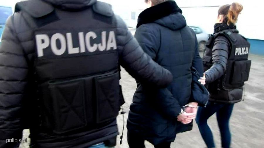 Areszt Dla Podejrzanej O Smiertelne Potracenie 19 Latki Aktualnosci Policja Pl
