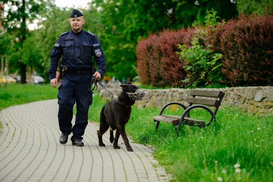 Przewodnik z psem służbowym