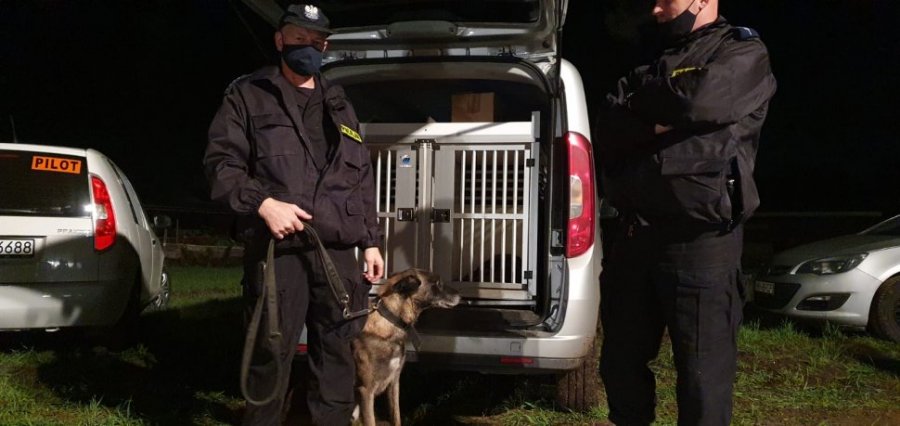 Policjanci wraz z psem służbowym.