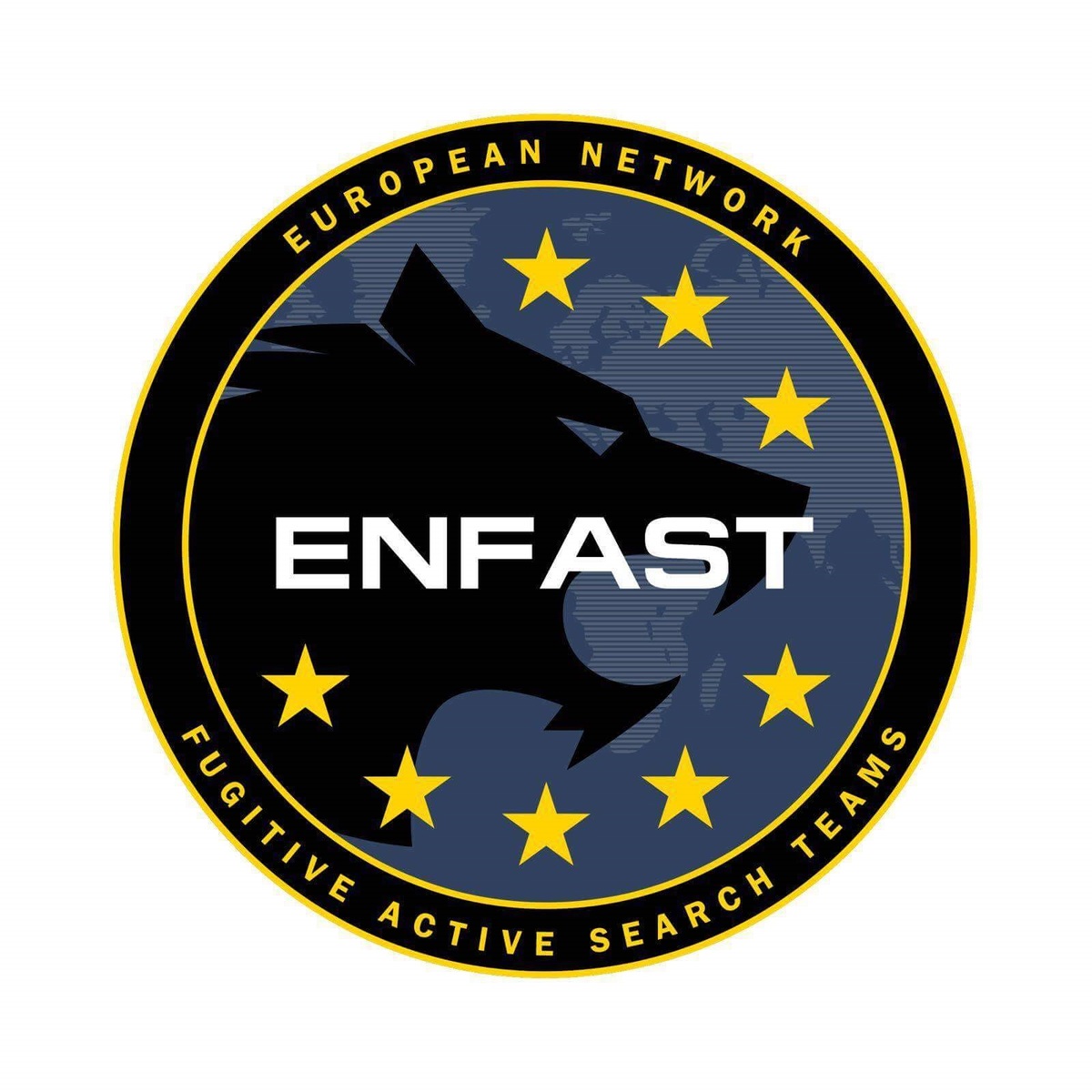 logo ENFAST