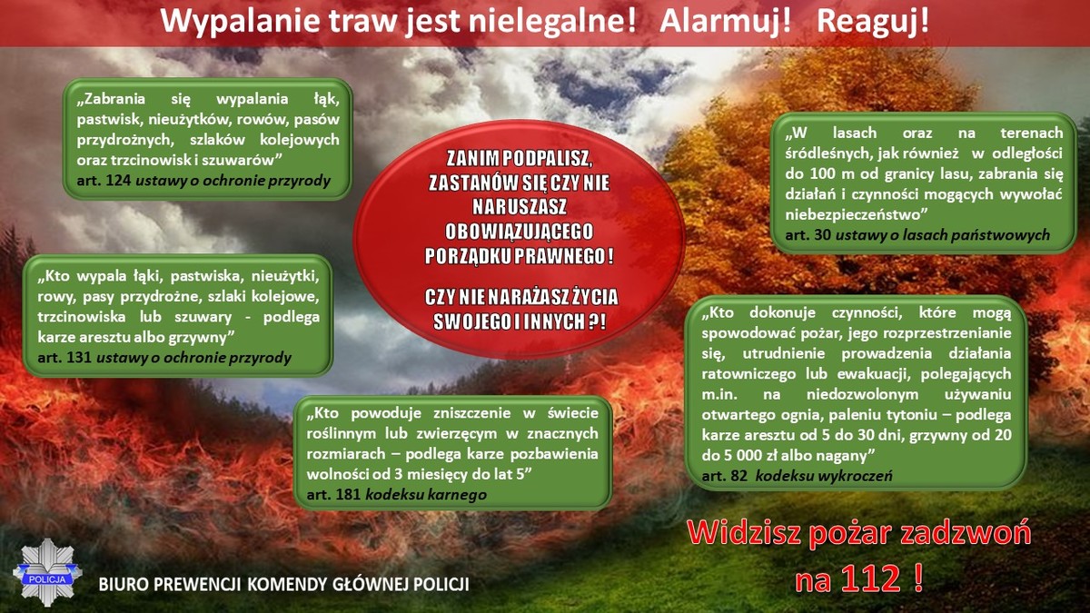 Infografika na temat wypalania traw - zapis cyfrowy znajduje się pod tekstem w pliku do pobrania