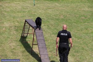 Kynologiczne zawody psów słuzbowych na Dolnym Śląsku #4