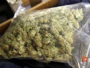 Zabezpieczona marihuana