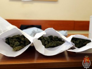 Zabezpieczona marihuana