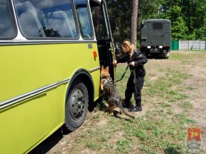 Przewodnik i jego pies przed wejściem do autobusu