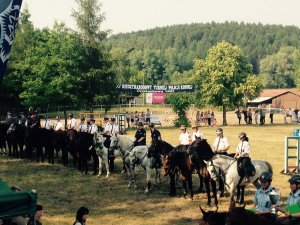 Policjanci na koniu