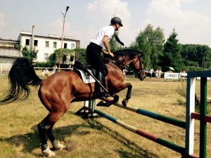 Policjant na koniu