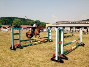 Policjant na koniu