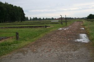 Zdjęcie z Muzeum Auschwitz – Birkenau teren Muzeum Brzezince, miejsce znalezienia fragmentów maszynki , fragmentu łyżeczki oraz dwóch szkieł.