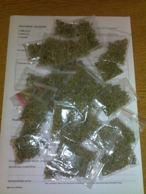 Zabezpieczoan marihuana