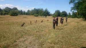 Policjanci w trakcie ćwiczeń