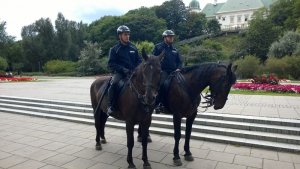 Piknik rodzinny z okazji 96. rocznicy powołania Policji