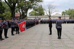 przegląd kompanii honorowej