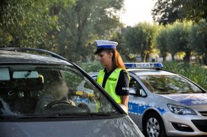 Policjanci kontrolują kierowców