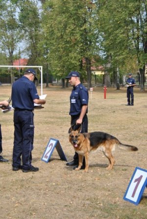 Kynologiczne Mistrzostwa Polski #4