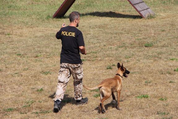 policjant i pies