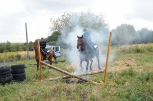 pokaz odwagi i wyszkolenia konia służbowego