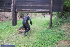 Atestacja psów policyjnych