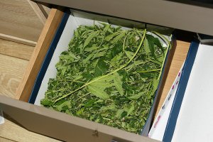 Zabezpieczyli blisko 1,4 kg marihuany