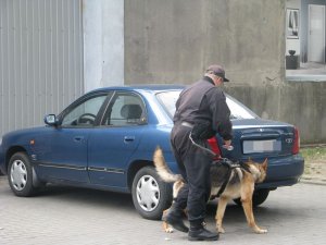 Wybuch w Zakładzie Karnym - wspólne ćwiczenia służb