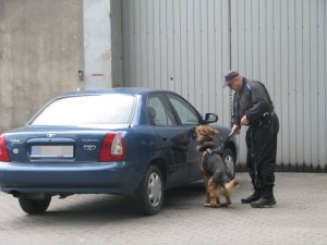 Wybuch w Zakładzie Karnym - wspólne ćwiczenia służb