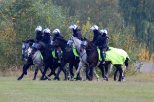 Atestacja policyjnych koni i kandydatów na jeźdźców