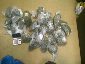 Policjanci zabezpieczyli blisko 2 kilogramy marihuany