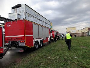 Policjanci uczestniczą w ćwiczeniach Patrol-15