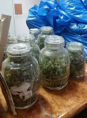 Ponad 8 kg marihuany zabezpieczone przez monieckich policjantów #1