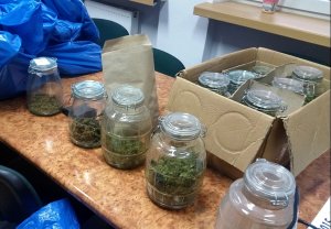 Ponad 8 kg marihuany zabezpieczone przez monieckich policjantów #2