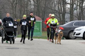 I Bieg Białej Wstążki w Parku Śląskim w Chorzowie #15