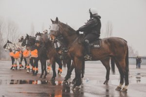 Ćwiczenia policji konnej