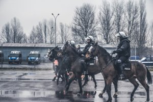 Ćwiczenia policji konnej