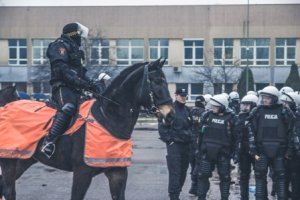 Ćwiczenia policji konnej