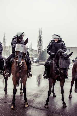 Ćwiczenia policji konnej