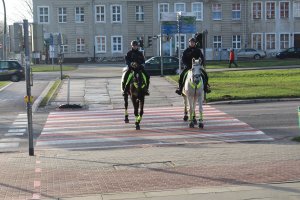 Policjanci na koniach na patrolu