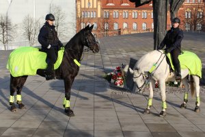 Policjanci na koniach na patrolu