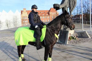 Policjanci na koniach na patrolu