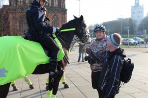 Policjanci na koniach na patrolu