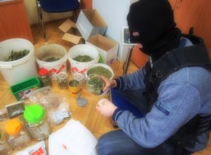 Policjant zabezpiecza środki odurzające