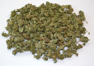 Zabezpieczona marihuana